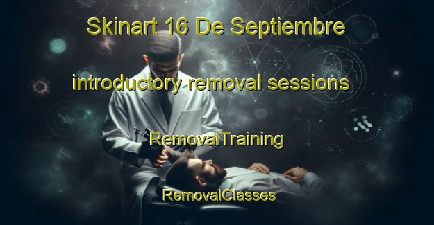 Skinart 16 De Septiembre introductory removal sessions | RemovalTraining | RemovalClasses | SkinartTraining-Mexico