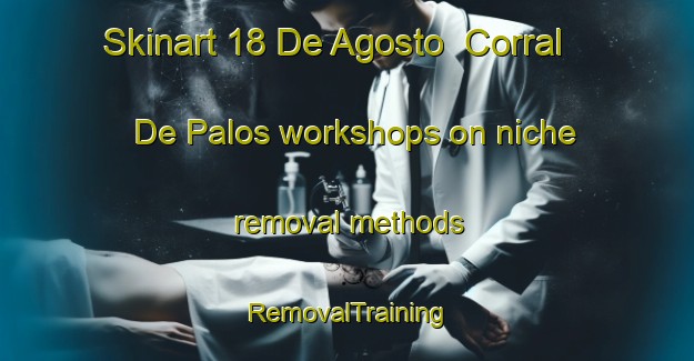 Skinart 18 De Agosto  Corral De Palos workshops on niche removal methods | RemovalTraining | RemovalClasses | SkinartTraining-Mexico