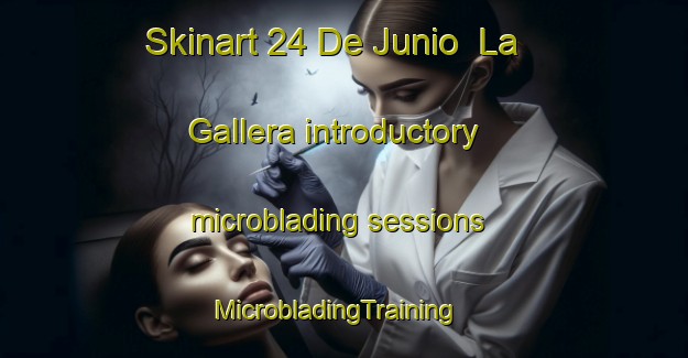 Skinart 24 De Junio  La Gallera introductory microblading sessions | MicrobladingTraining | MicrobladingClasses | SkinartTraining-Mexico
