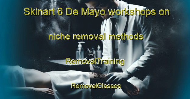 Skinart 6 De Mayo workshops on niche removal methods | RemovalTraining | RemovalClasses | SkinartTraining-Mexico