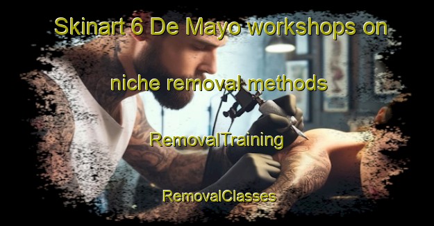 Skinart 6 De Mayo workshops on niche removal methods | RemovalTraining | RemovalClasses | SkinartTraining-Mexico