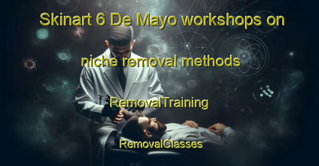 Skinart 6 De Mayo workshops on niche removal methods | RemovalTraining | RemovalClasses | SkinartTraining-Mexico