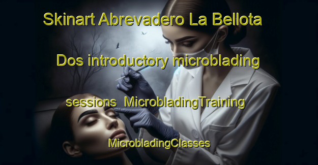 Skinart Abrevadero La Bellota Dos introductory microblading sessions | #MicrobladingTraining #MicrobladingClasses #SkinartTraining-Mexico