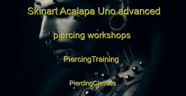 Skinart Acalapa Uno advanced piercing workshops | #PiercingTraining #PiercingClasses #SkinartTraining-Mexico