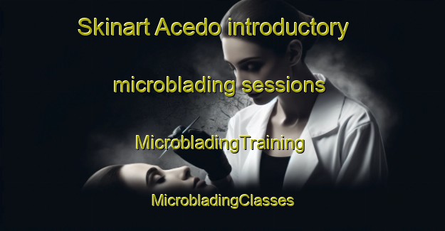 Skinart Acedo introductory microblading sessions | #MicrobladingTraining #MicrobladingClasses #SkinartTraining-Mexico