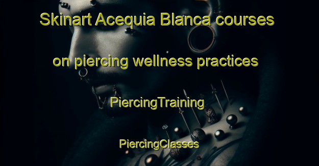 Skinart Acequia Blanca courses on piercing wellness practices | #PiercingTraining #PiercingClasses #SkinartTraining-Mexico