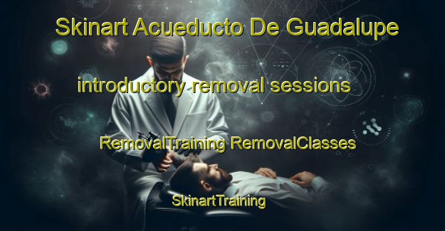 Skinart Acueducto De Guadalupe introductory removal sessions | #RemovalTraining #RemovalClasses #SkinartTraining-Mexico