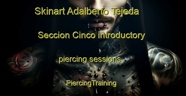 Skinart Adalberto Tejeda  Seccion Cinco introductory piercing sessions | #PiercingTraining #PiercingClasses #SkinartTraining-Mexico