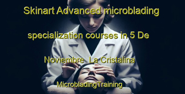 Skinart Advanced microblading specialization courses in 5 De Noviembre  La Cristalina | MicrobladingTraining | MicrobladingClasses | SkinartTraining-Mexico