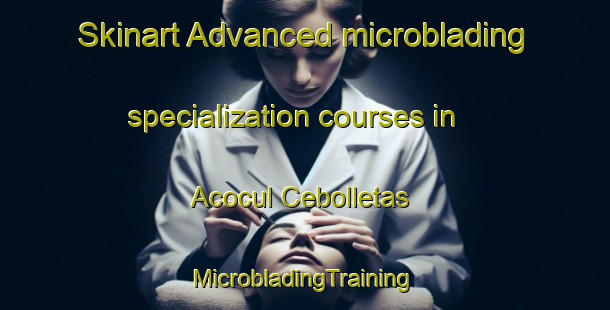 Skinart Advanced microblading specialization courses in Acocul Cebolletas | #MicrobladingTraining #MicrobladingClasses #SkinartTraining-Mexico