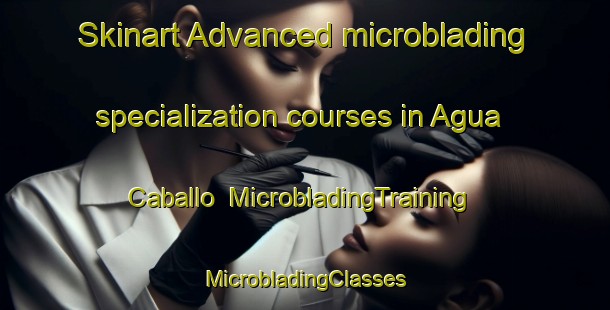 Skinart Advanced microblading specialization courses in Agua Caballo | #MicrobladingTraining #MicrobladingClasses #SkinartTraining-Mexico