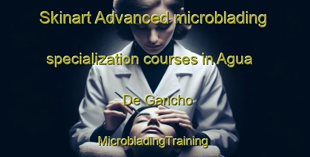 Skinart Advanced microblading specialization courses in Agua De Gancho | #MicrobladingTraining #MicrobladingClasses #SkinartTraining-Mexico