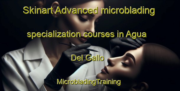 Skinart Advanced microblading specialization courses in Agua Del Gallo | #MicrobladingTraining #MicrobladingClasses #SkinartTraining-Mexico