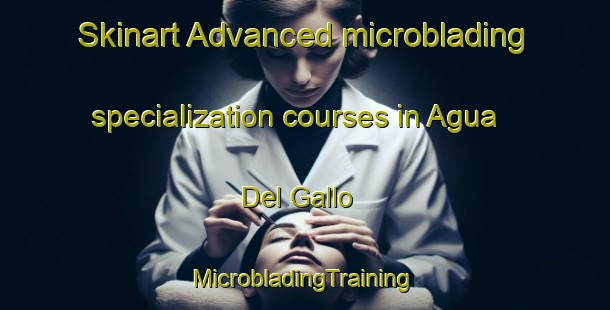 Skinart Advanced microblading specialization courses in Agua Del Gallo | #MicrobladingTraining #MicrobladingClasses #SkinartTraining-Mexico