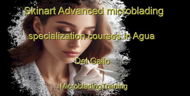 Skinart Advanced microblading specialization courses in Agua Del Gallo | #MicrobladingTraining #MicrobladingClasses #SkinartTraining-Mexico