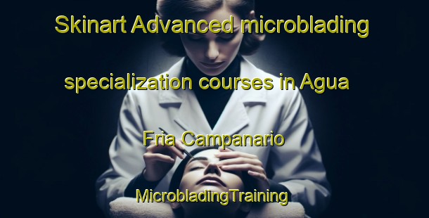 Skinart Advanced microblading specialization courses in Agua Fria Campanario | #MicrobladingTraining #MicrobladingClasses #SkinartTraining-Mexico