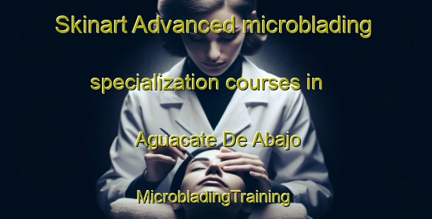 Skinart Advanced microblading specialization courses in Aguacate De Abajo | #MicrobladingTraining #MicrobladingClasses #SkinartTraining-Mexico