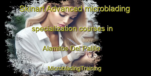 Skinart Advanced microblading specialization courses in Alamitos Del Palillo | #MicrobladingTraining #MicrobladingClasses #SkinartTraining-Mexico