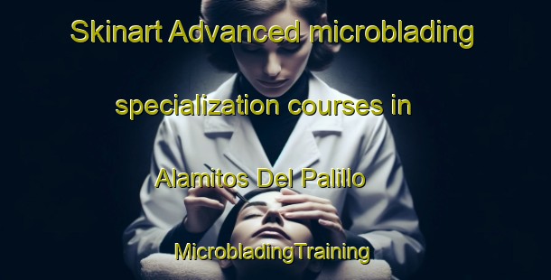 Skinart Advanced microblading specialization courses in Alamitos Del Palillo | #MicrobladingTraining #MicrobladingClasses #SkinartTraining-Mexico