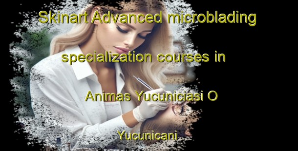 Skinart Advanced microblading specialization courses in Animas Yucuniciasi O Yucunicani | #MicrobladingTraining #MicrobladingClasses #SkinartTraining-Mexico