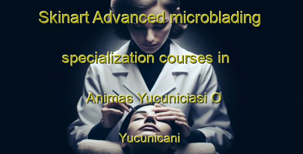 Skinart Advanced microblading specialization courses in Animas Yucuniciasi O Yucunicani | #MicrobladingTraining #MicrobladingClasses #SkinartTraining-Mexico