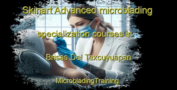 Skinart Advanced microblading specialization courses in Brisas Del Texcuyuapan | #MicrobladingTraining #MicrobladingClasses #SkinartTraining-Mexico