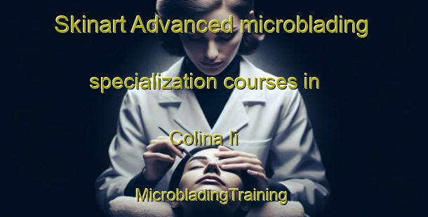 Skinart Advanced microblading specialization courses in Colina Ii | #MicrobladingTraining #MicrobladingClasses #SkinartTraining-Mexico