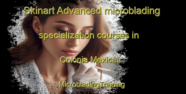 Skinart Advanced microblading specialization courses in Colonia Mexicali | #MicrobladingTraining #MicrobladingClasses #SkinartTraining-Mexico