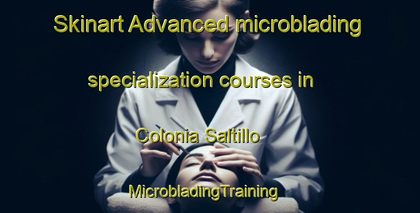 Skinart Advanced microblading specialization courses in Colonia Saltillo | MicrobladingTraining | MicrobladingClasses | SkinartTraining-Mexico