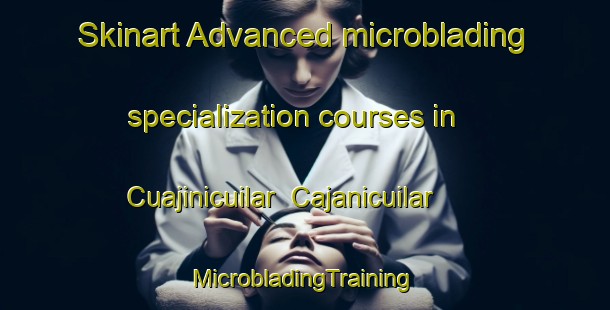 Skinart Advanced microblading specialization courses in Cuajinicuilar  Cajanicuilar | #MicrobladingTraining #MicrobladingClasses #SkinartTraining-Mexico