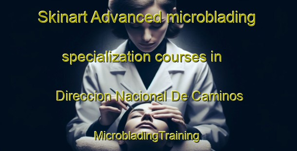 Skinart Advanced microblading specialization courses in Direccion Nacional De Caminos | #MicrobladingTraining #MicrobladingClasses #SkinartTraining-Mexico