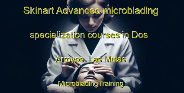 Skinart Advanced microblading specialization courses in Dos Arroyos  Las Mulas | #MicrobladingTraining #MicrobladingClasses #SkinartTraining-Mexico