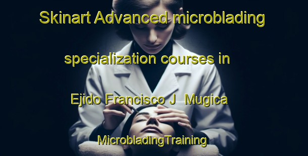 Skinart Advanced microblading specialization courses in Ejido Francisco J  Mugica | #MicrobladingTraining #MicrobladingClasses #SkinartTraining-Mexico