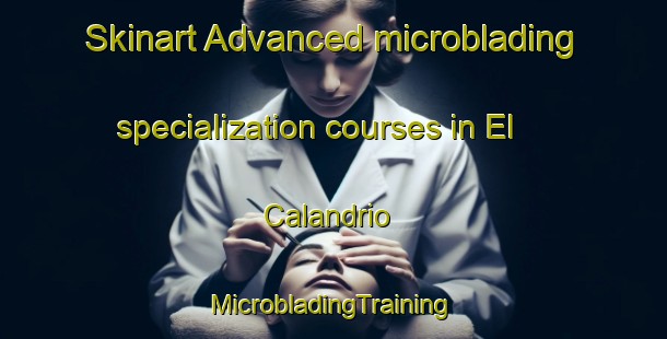 Skinart Advanced microblading specialization courses in El Calandrio | #MicrobladingTraining #MicrobladingClasses #SkinartTraining-Mexico