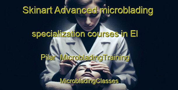 Skinart Advanced microblading specialization courses in El Pilar | #MicrobladingTraining #MicrobladingClasses #SkinartTraining-Mexico