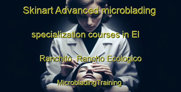 Skinart Advanced microblading specialization courses in El Ranchito  Rancho Ecologico | #MicrobladingTraining #MicrobladingClasses #SkinartTraining-Mexico