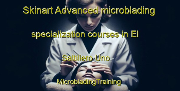 Skinart Advanced microblading specialization courses in El Saltillero Uno | #MicrobladingTraining #MicrobladingClasses #SkinartTraining-Mexico