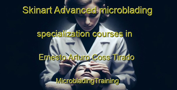 Skinart Advanced microblading specialization courses in Ernesto Arturo Coss Tirado | #MicrobladingTraining #MicrobladingClasses #SkinartTraining-Mexico