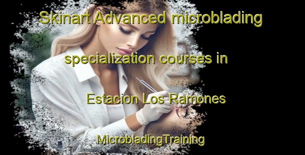 Skinart Advanced microblading specialization courses in Estacion Los Ramones | #MicrobladingTraining #MicrobladingClasses #SkinartTraining-Mexico