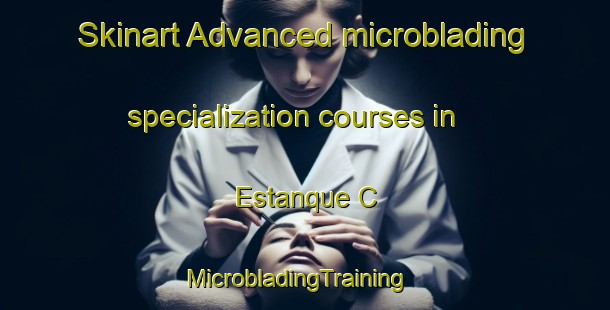 Skinart Advanced microblading specialization courses in Estanque C | MicrobladingTraining | MicrobladingClasses | SkinartTraining-Mexico