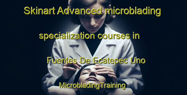 Skinart Advanced microblading specialization courses in Fuentes De Ecatepec Uno | #MicrobladingTraining #MicrobladingClasses #SkinartTraining-Mexico