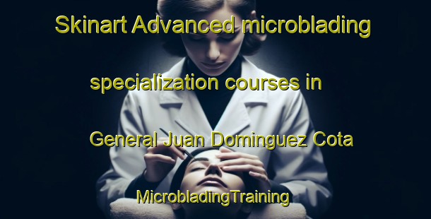 Skinart Advanced microblading specialization courses in General Juan Dominguez Cota | #MicrobladingTraining #MicrobladingClasses #SkinartTraining-Mexico