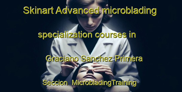 Skinart Advanced microblading specialization courses in Graciano Sanchez Primera Seccion | #MicrobladingTraining #MicrobladingClasses #SkinartTraining-Mexico