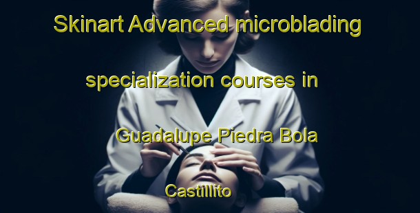 Skinart Advanced microblading specialization courses in Guadalupe Piedra Bola Castillito | #MicrobladingTraining #MicrobladingClasses #SkinartTraining-Mexico