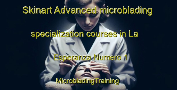 Skinart Advanced microblading specialization courses in La Esperanza Numero 1 | #MicrobladingTraining #MicrobladingClasses #SkinartTraining-Mexico