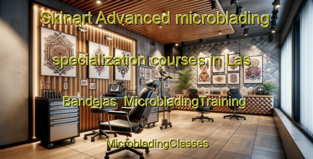 Skinart Advanced microblading specialization courses in Las Bandejas | #MicrobladingTraining #MicrobladingClasses #SkinartTraining-Mexico