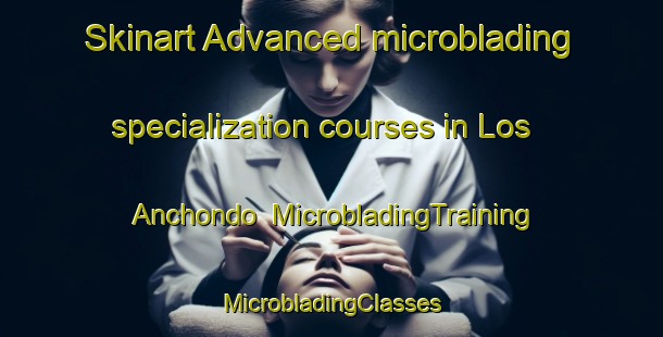 Skinart Advanced microblading specialization courses in Los Anchondo | #MicrobladingTraining #MicrobladingClasses #SkinartTraining-Mexico