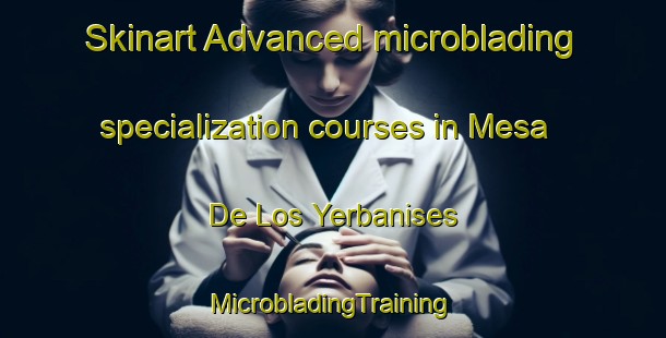 Skinart Advanced microblading specialization courses in Mesa De Los Yerbanises | #MicrobladingTraining #MicrobladingClasses #SkinartTraining-Mexico