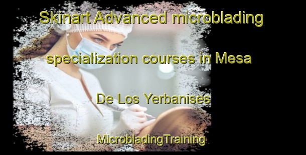 Skinart Advanced microblading specialization courses in Mesa De Los Yerbanises | #MicrobladingTraining #MicrobladingClasses #SkinartTraining-Mexico