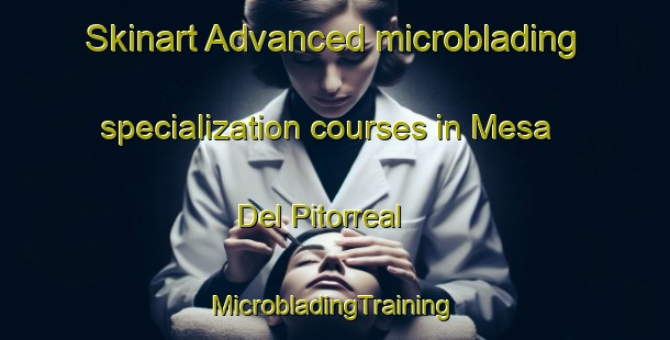 Skinart Advanced microblading specialization courses in Mesa Del Pitorreal | #MicrobladingTraining #MicrobladingClasses #SkinartTraining-Mexico